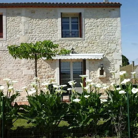 A Pres De Royan Et La Palmyre